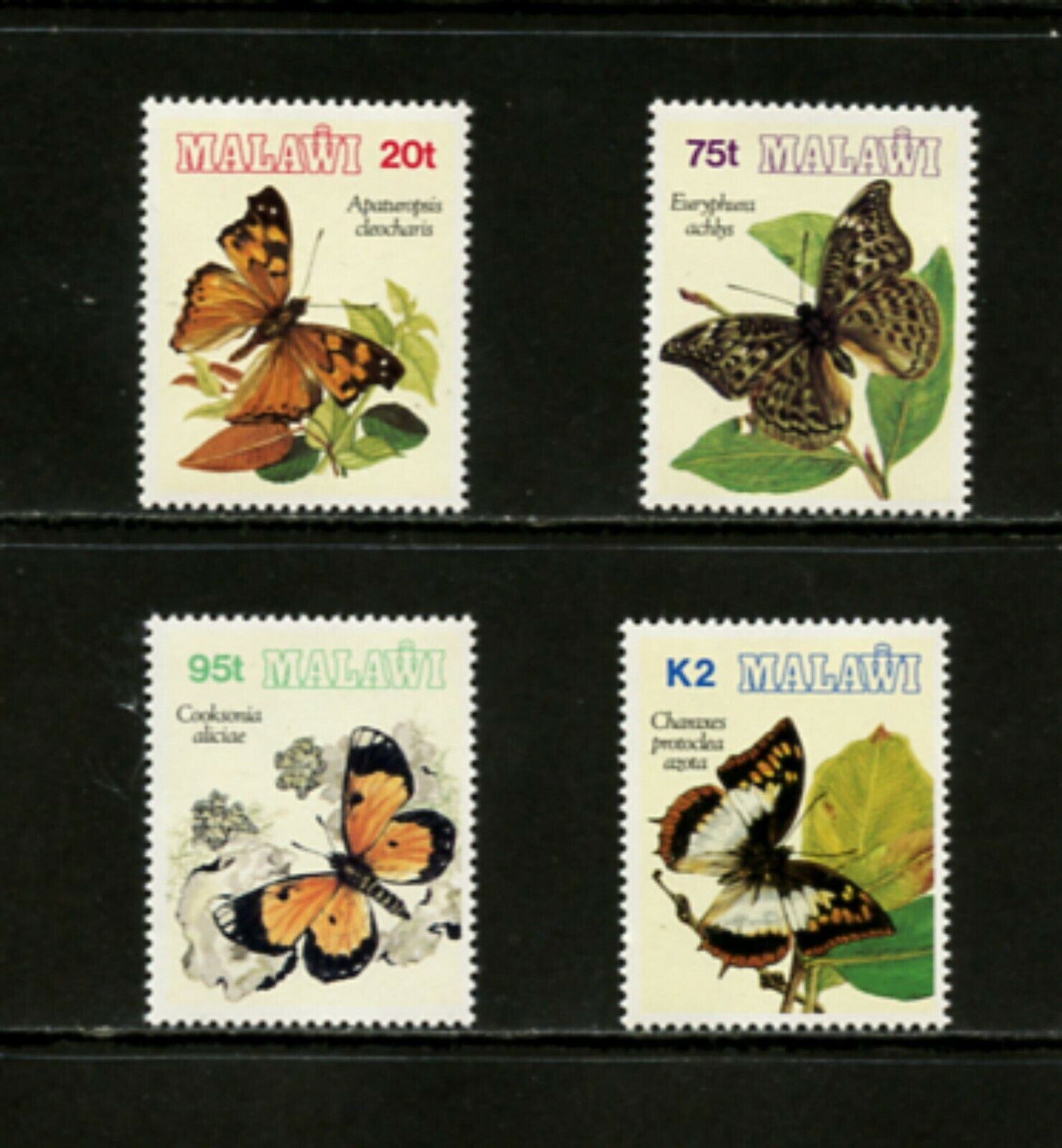 I202  Malawi  1993   Butterflies   4v.    Mnh