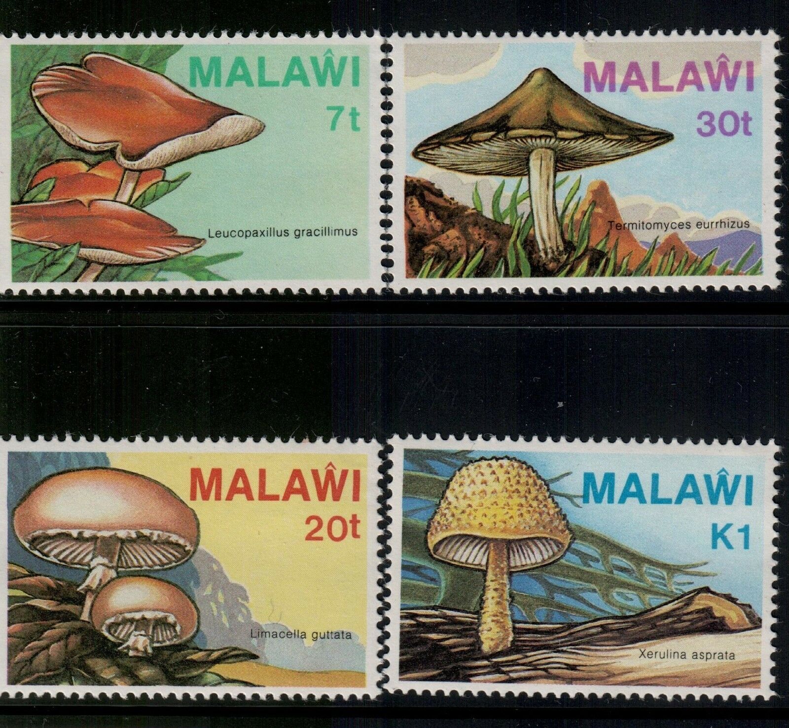Malawi,scott#458-461,mnh,scott=20