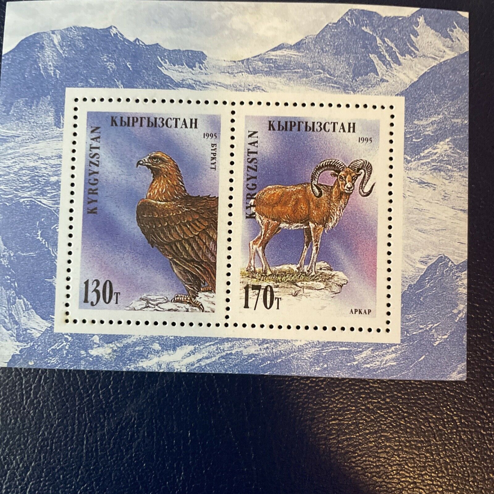 Kyrgyzstan Stamp 60