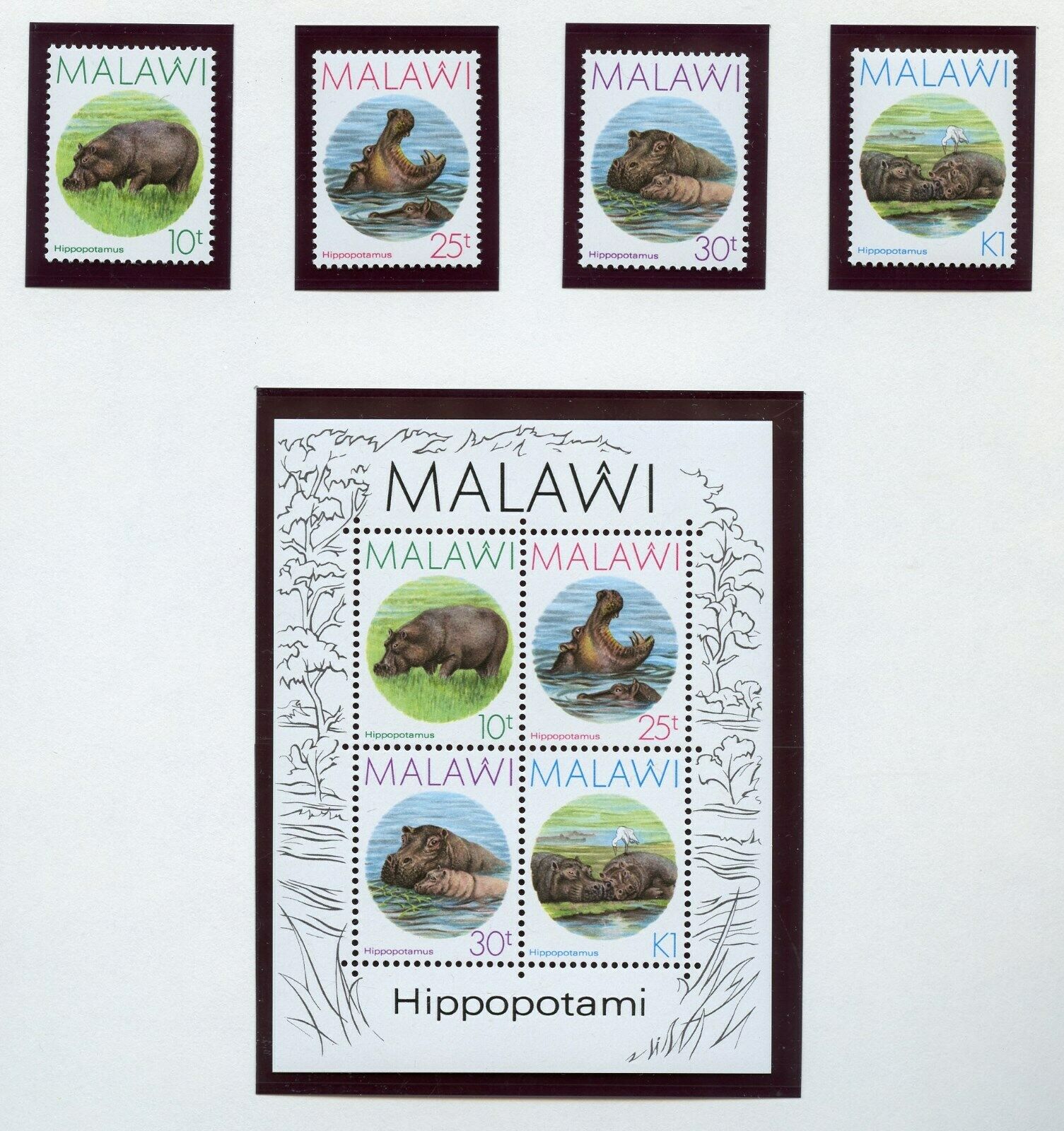 Malawi Hipopotami  Set & S/s  Scott #502/05a  Mint Never Hinged