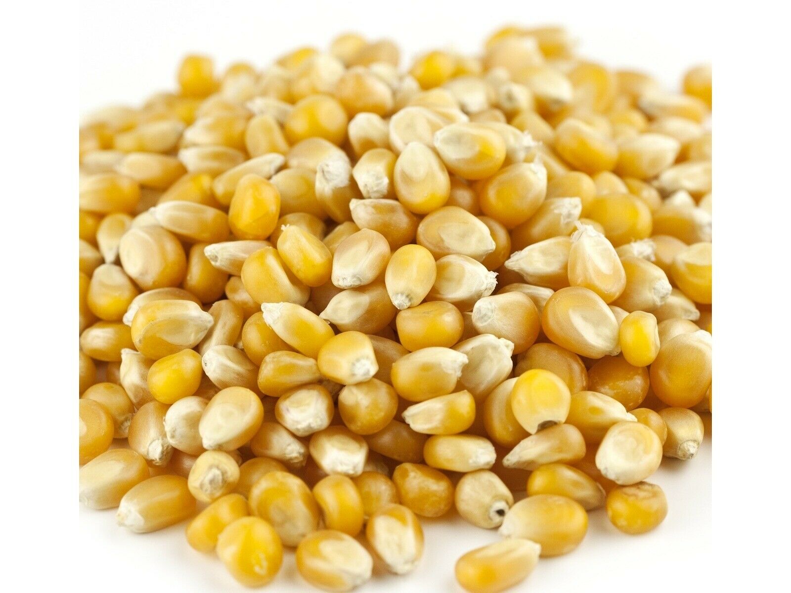 Reist Hi Pop 5 Lb Mushroom Popcorn Unpopped Bulk Kernals For Kettle Corn Snack